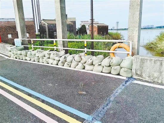 台山市大江镇重点通过堆叠防汛沙包，对辖区江边所有易漫水口进行逐一封堵、压实，切实将台风可能引发的江水漫溢风险降至最低。李嘉敏