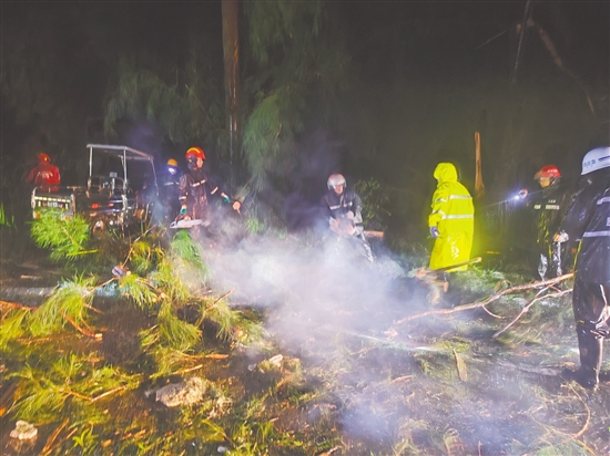风雨势头稍减，川岛镇政府迅速联合台山市交通陆岛开发公司、台山市川山群岛旅游发展有限公司奔赴山咀港进港路开展路面清障工作。川岛镇供图