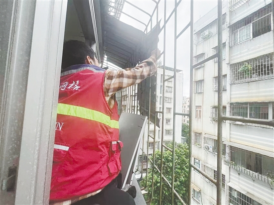 蓬江区育德社区网格员协助屋主及时将松动的铁皮挡雨板拆下，消除安全隐患。任佳燕