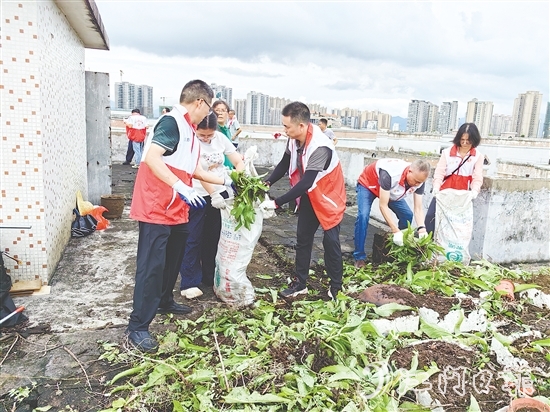 党员干部在老旧居民楼顶清理废弃花盆、杂物、乱生植物，不放过任何一个卫生死角。