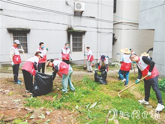 恩平市政协委员到基层参与环境整治。 恩平市政协委员到基层参与环境整治。