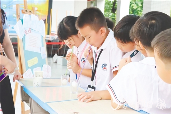 学生在丰富的项目中感受科技的魅力。 学生在丰富的项目中感受科技的魅力。