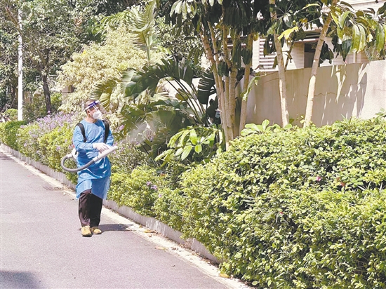 江门市江华小学对校园内外进行蚊虫消杀。 江门市江华小学对校园内外进行蚊虫消杀。