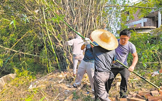 村民义工队到蓝田村小组清理竹林,为建设环村路腾出位置。 村民义工队到蓝田村小组清理竹林,为建设环村路腾出位置。