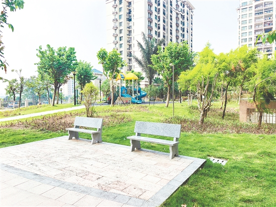 如今的南湖湾小区环境干净整洁，蚊虫明显减少。