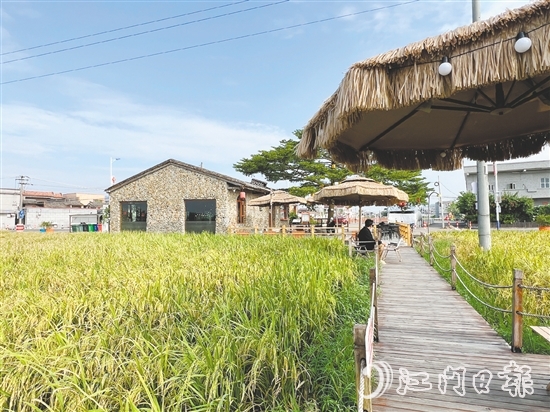 坐落在稻田旁的“牛栏咖啡”是热门“打卡地”。 坐落在稻田旁的“牛栏咖啡”是热门“打卡地”。