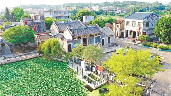 漫步在霄南村,一间间青砖灰瓦的老屋安静伫立。 漫步在霄南村,一间间青砖灰瓦的老屋安静伫立。