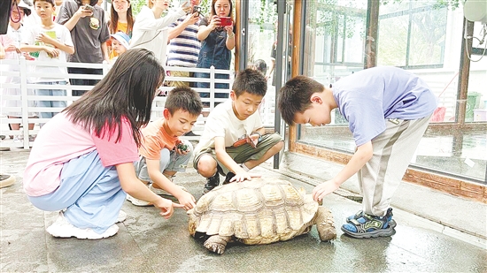 福伦文旅龟博园是岭南地区首个以龟文化为主题的文旅博览园。 福伦文旅龟博园是岭南地区首个以龟文化为主题的文旅博览园。