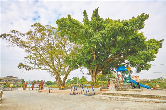 沙冲村完善基础设施建设,为村民营造更舒适的休闲空间。 沙冲村完善基础设施建设,为村民营造更舒适的休闲空间。