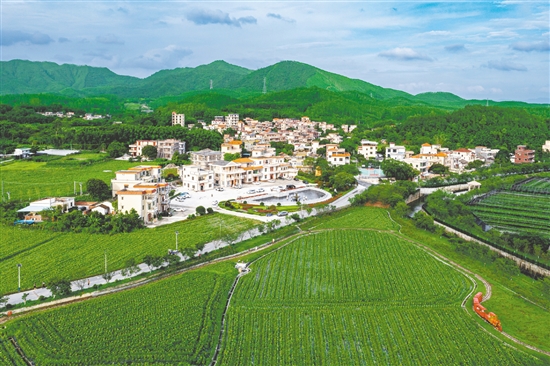 城西村是江门市重点支持建设的110个绿美乡村示范村之一，2024年入选广东省“百千万工程”第二批典型村培育名单。