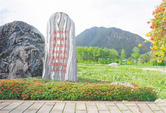 陈白沙景观石是城西村的网红打卡点。