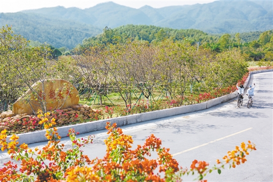 村道漂亮了，不少骑友从沙坪骑行到城西村，呼吸这里清新的空气。