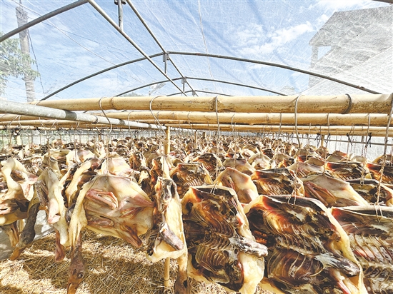 那吉腊鸭香气四溢。 那吉腊鸭香气四溢。