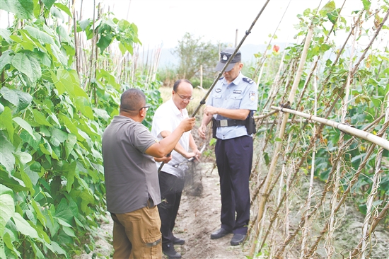 工作人员深入重点区域开展巡逻清网。 工作人员深入重点区域开展巡逻清网。