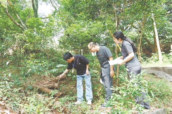 “林长+森林法官”联合巡林,守护生态环境。 “林长+森林法官”联合巡林,守护生态环境。