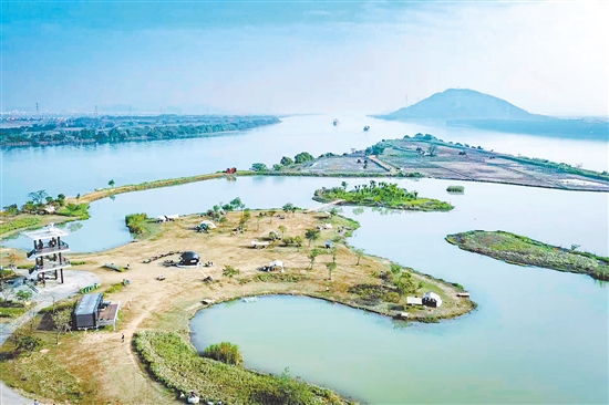 大鳌尾湿地公园位于万里碧道南端堤岸，今年以来通过与本土企业家合作运营，增设休闲露营地、“头盔咖啡店”等新业态，让水乡生态与人文潮流融汇交织。