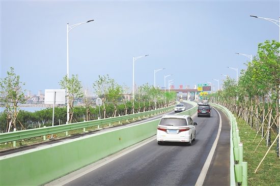 中阳高速大鳌段沿线风貌提升，打造从深圳进入江门的美丽“窗口”。