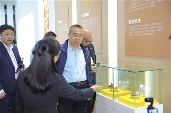 参与活动的嘉宾现场了解中国陈皮贸易中心。