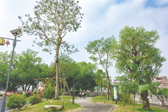 三棵松公园环境优美，成为村民休闲的好去处。