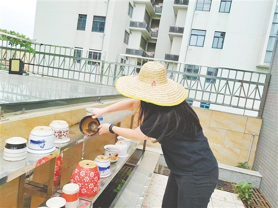 清积水、灭虫卵，既省钱又有效。