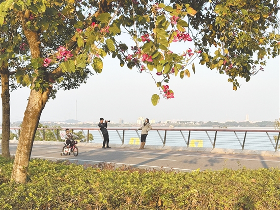 滨江绿道景致清幽，成为市民晒太阳的优选之地。