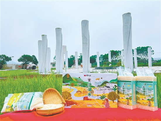 恩平大米成功获评国家地理标志农产品、全国名特优新农产品、国家区域公用品牌、广东省名牌产品，并入选“广东好大米”十大品牌。