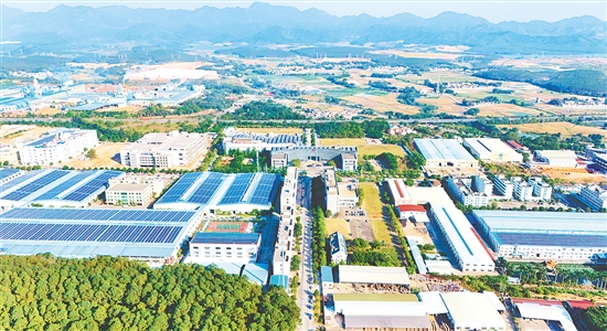 冲蒌镇坚持制造业当家，科学规划千亩园区，聚焦新一代信息技术、先进材料等龙头产业，打造好红岭工业园区产业发展平台。