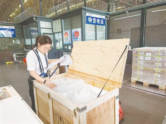 瑞鳞水产一批精心挑选的优质锦鲤被妥善封装后，完成相关手续后将被运往欧盟。受访者供图