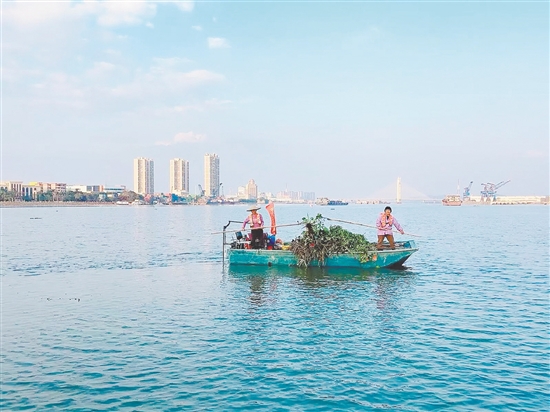 开平市以爱国卫生运动为抓手，以精细化环卫作业守护城市洁净。