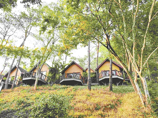 茂名三华李度假区的森林小木屋带给阿文不少惊喜。