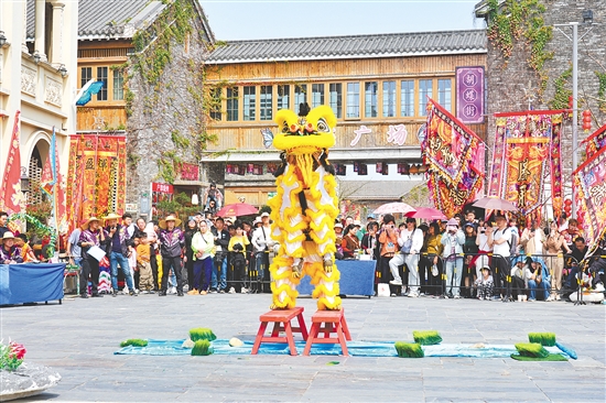 春节假期，鹤山市将非遗赛事、民俗活动与新春年味深度融合，各地非遗活动轮番登场，为马年新春增添一抹亮丽的文化色彩。