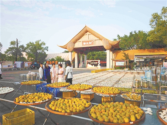 新会陈皮连续三年位列“中国区域农业产业品牌影响力指数”首位。 新会陈皮连续三年位列“中国区域农业产业品牌影响力指数”首位。