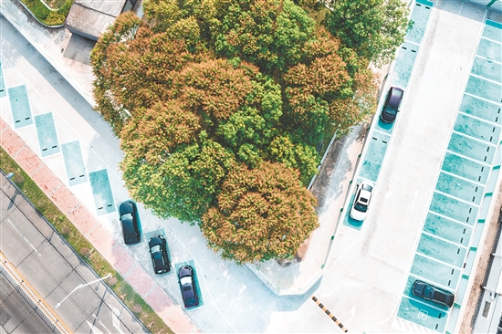 改造后的都斛主街既保留了城镇烟火气,又兼具现代宜居功能。这是都斛主街停车场。 改造后的都斛主街既保留了城镇烟火气,又兼具现代宜居功能。这是都斛主街停车场。