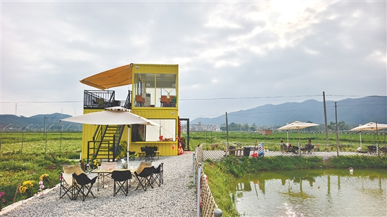 由两个黄色集装箱改造而成的咖啡店“塘边小苑”静立在田野之间。游客们围坐在鱼塘边，喝咖啡、看风景，不时举起手机拍照。