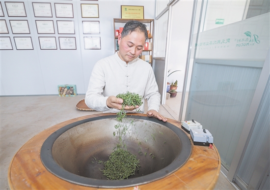 图为3月10日，金华市非物质文化遗产“武阳春雨制作技艺”代表性传承人、全国技术能手鲍王栋在炒制今年首批“武阳春雨”春茶。