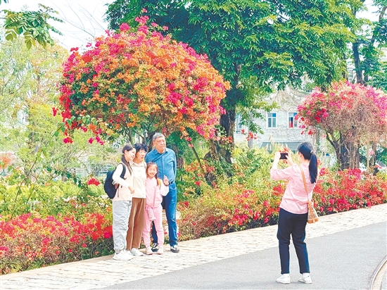 三月赏花游成江门旅游热点。 三月赏花游成江门旅游热点。