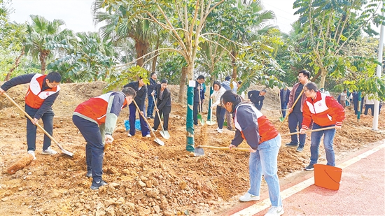 党员、志愿者、群众代表等默契配合，为台山大地添上一抹新绿。