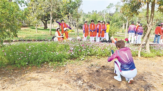 台山红岭种子园的格桑花盛开，粉白相间，将氛围感拉满。