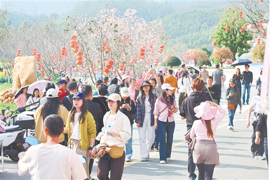 本次活动累计吸引数万名市民游客慕名而来。