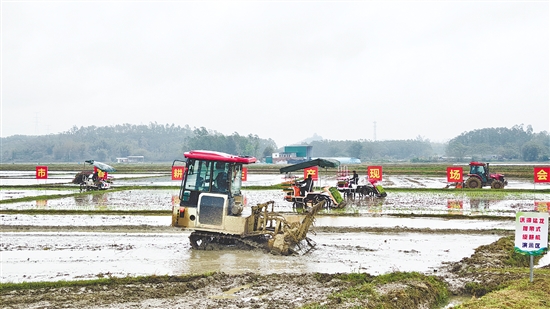 春耕生产现场会上，插秧机、拖拉机来回穿梭。