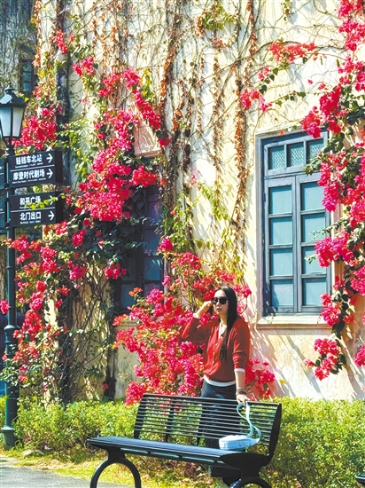 3月的江门变身“花花世界”。 3月的江门变身“花花世界”。