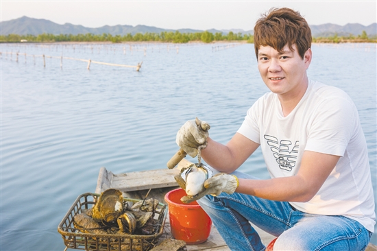 深井镇盘活小江村占地面积827平方米的闲置用房,投入150万元完成生蚝加工工场及专卖店建设项目,推出金蚝、蚝豉、蚝油等加工产品。图为生蚝养殖基地。 深井镇盘活小江村占地面积827平方米的闲置用房,投入150万元完成生蚝加工工场及专卖店建设项目,推出金蚝、蚝豉、蚝油等加工产品。图为生蚝养殖基地。