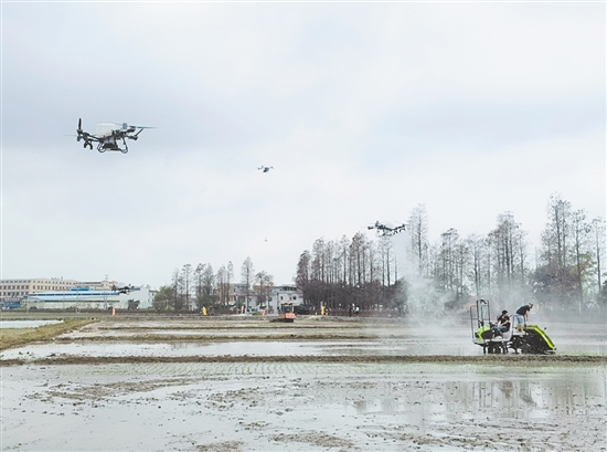 开平市水稻综合机械化率已达95.41%，农作物耕种收综合机械化水平达到73.12%，稳居全省前列。