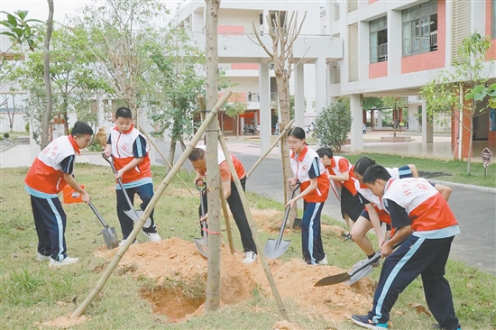 港澳乡亲与学生们一起植树，美化校园环境。