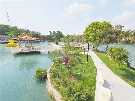 台城宁城公园人工湖南湖四季花岛新植凤凰木、风铃木等绿植，点缀人工湖景色。