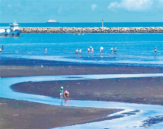 铜鼓村钦头湾受到大湾区游客青睐。