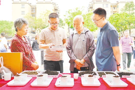 大众评茶员根据外形、香气、汤色、滋味和叶底五大维度,对茶样进行评审。 大众评茶员根据外形、香气、汤色、滋味和叶底五大维度,对茶样进行评审。