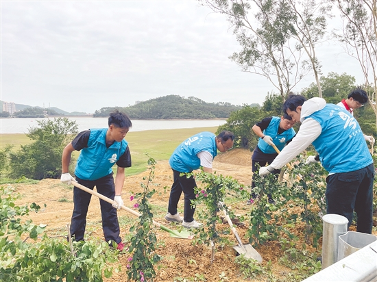 活动在环湖碧道沿线种下1000棵簕杜鹃,勾勒出一道清新靓丽的生态风景线。 活动在环湖碧道沿线种下1000棵簕杜鹃,勾勒出一道清新靓丽的生态风景线。