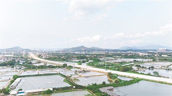 国道G240线主线建设如火如荼，其中，途经大泽镇沿江村路段全长约2公里。