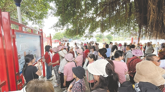 崖门镇横水村吸引大批湾区游客前来游玩、采购农产品。 崖门镇横水村吸引大批湾区游客前来游玩、采购农产品。